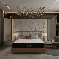 Quiescent Euro Top Spring Mattress with HR Foam