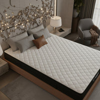 Quiescent Euro Top Spring Mattress with HR Foam